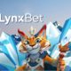 ¿Cómo registrarse en Lynxbet Chile?